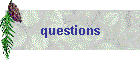 questions
